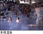 青根温泉の写真