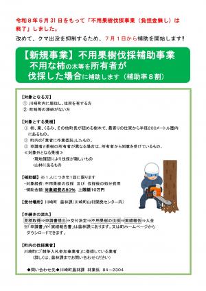 チラシ